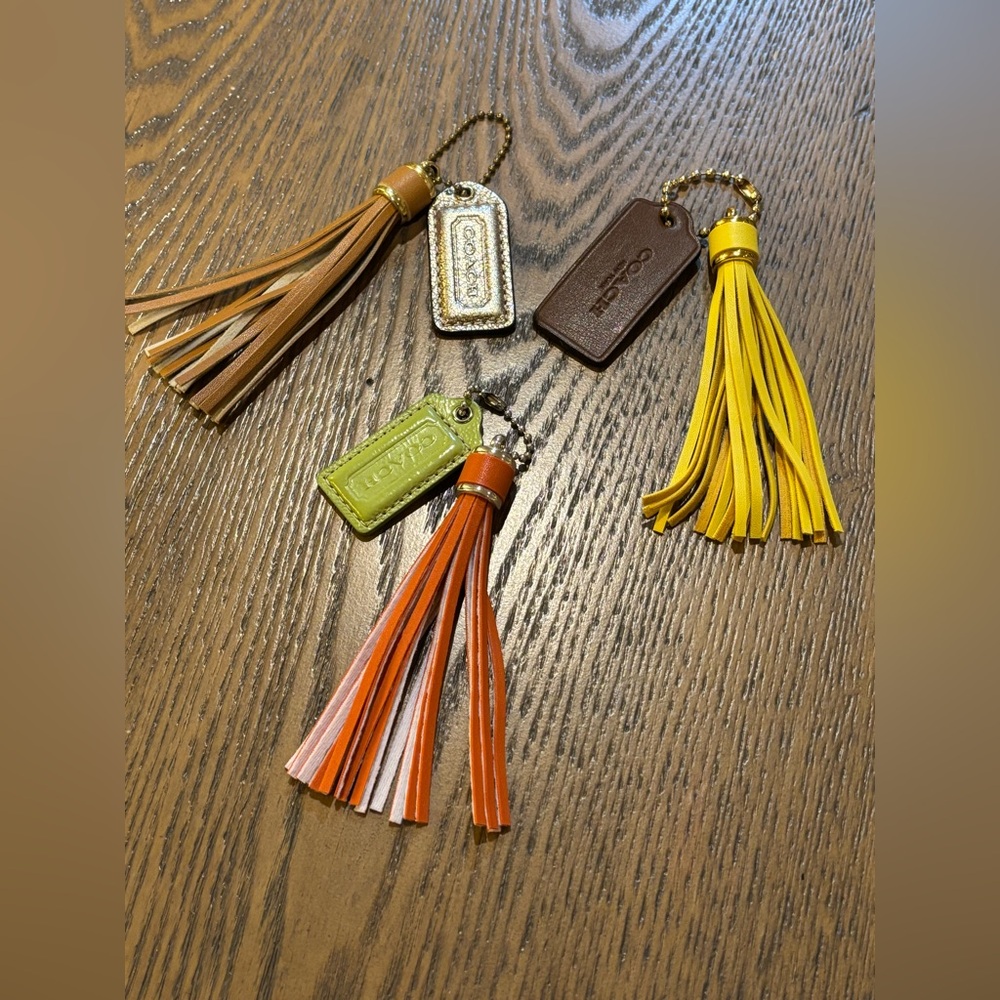Coach Tags with Multicolor Leather Tassel Keychain Set